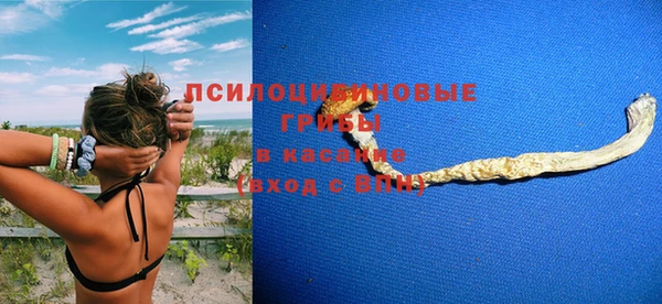 мескалин Алексин