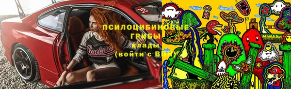 твердый Алзамай