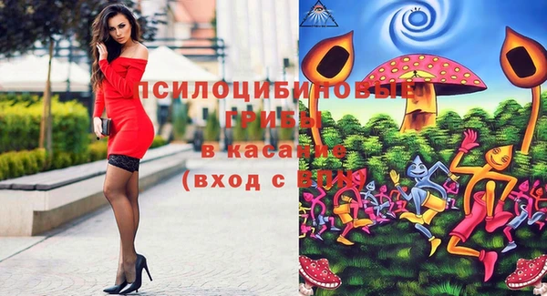 винт Алексеевка