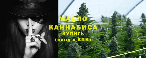 индика Переславль-Залесский