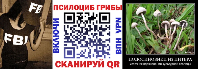 Галлюциногенные грибы Cubensis  Льгов 